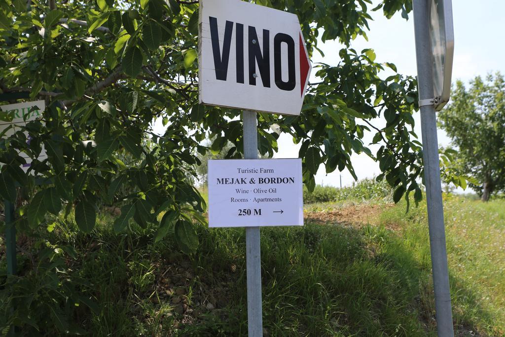 Mejak&Bordon Villa Secovlje Bagian luar foto