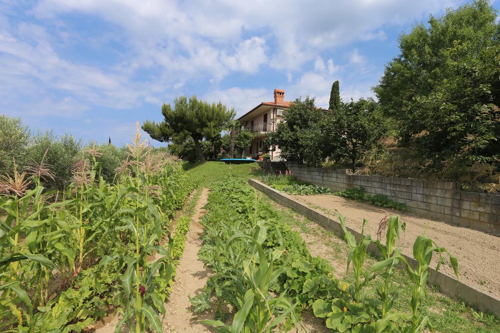 Mejak&Bordon Villa Secovlje Bagian luar foto