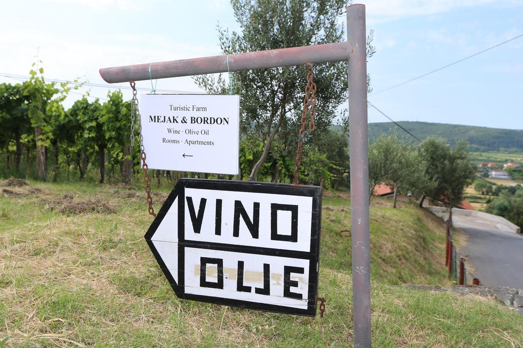 Mejak&Bordon Villa Secovlje Bagian luar foto