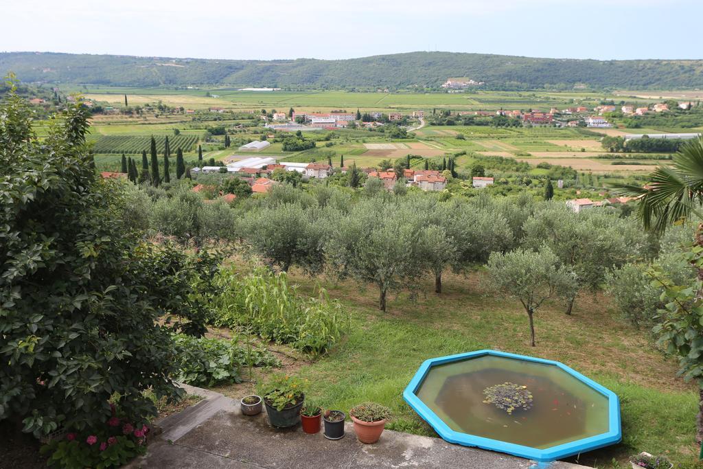 Mejak&Bordon Villa Secovlje Bagian luar foto